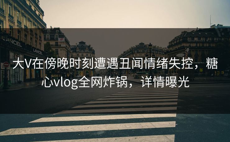 大V在傍晚时刻遭遇丑闻情绪失控,糖心vlog全网炸锅,详情曝光 大V在傍晚时刻遭遇丑闻情绪失控,糖心vlog全网炸锅,详情曝光