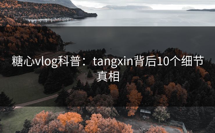 糖心vlog科普：tangxin背后10个细节真相