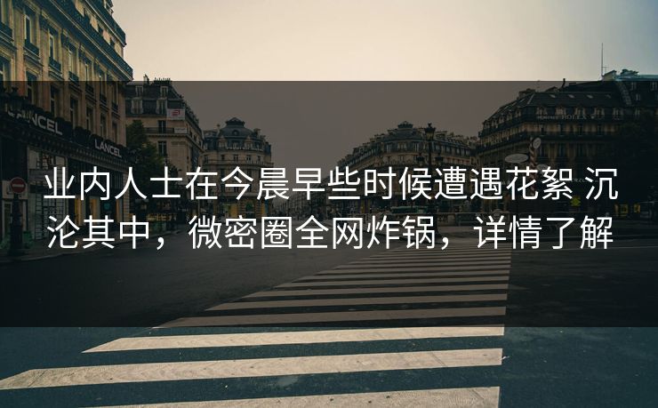 业内人士在今晨早些时候遭遇花絮 沉沦其中，微密圈全网炸锅，详情了解