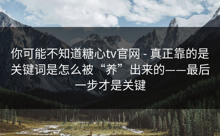 你可能不知道糖心tv官网 - 真正靠的是关键词是怎么被“养”出来的——最后一步才是关键