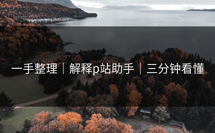 一手整理｜解释p站助手｜三分钟看懂