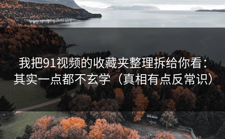 我把91视频的收藏夹整理拆给你看：其实一点都不玄学（真相有点反常识）